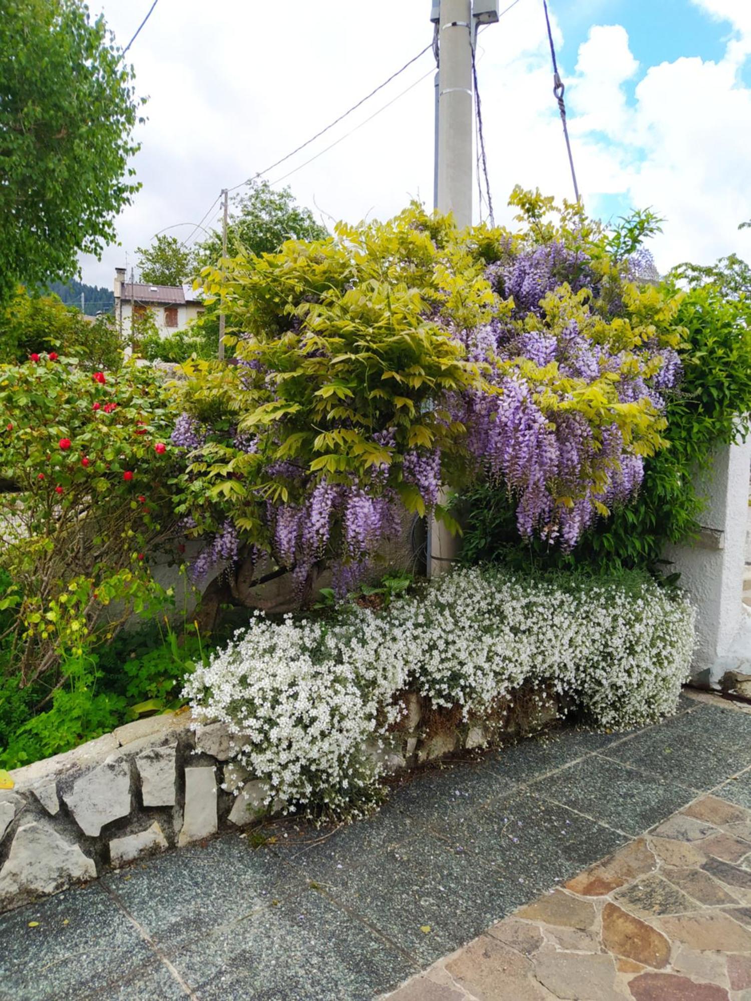 Villetta Di Montagna Foza Luaran gambar